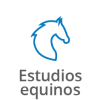 Iconos deportes_Estudios-equinos